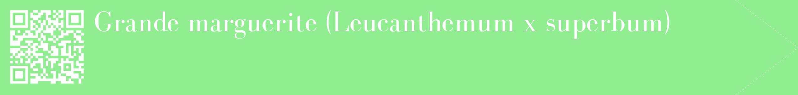 étiquette 2