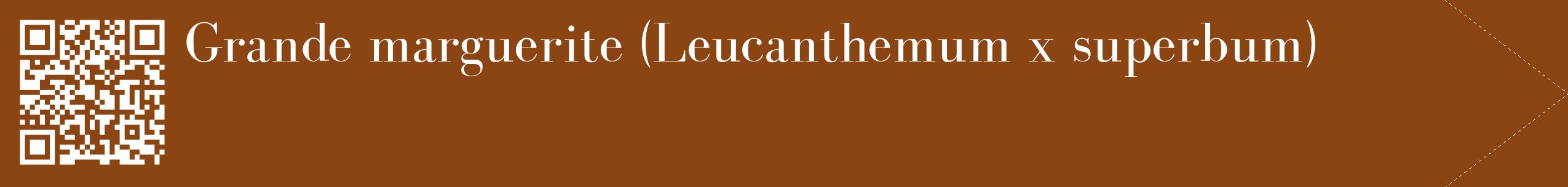 étiquette 2