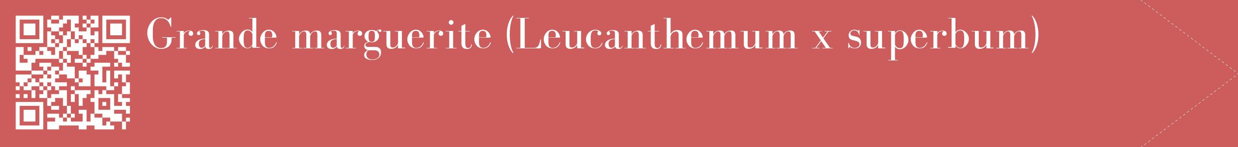 étiquette 2