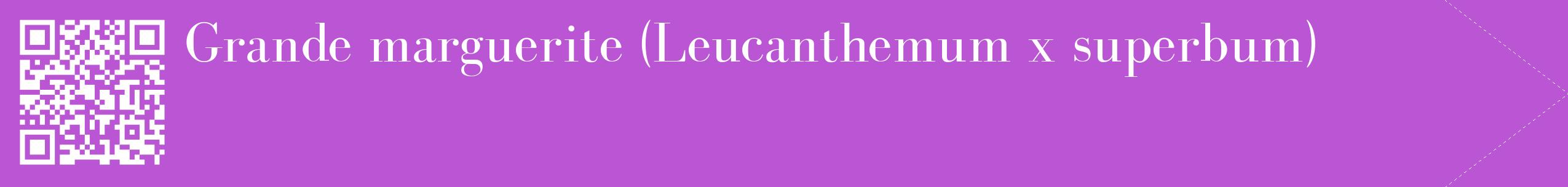 étiquette 2