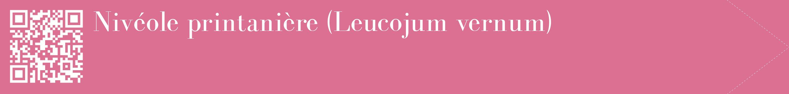 étiquette 2