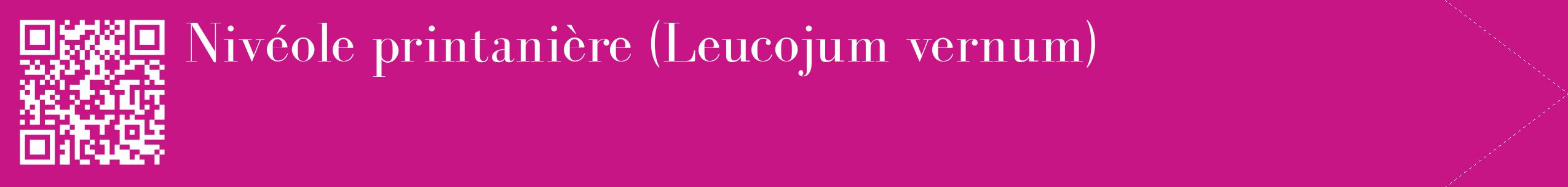étiquette 2