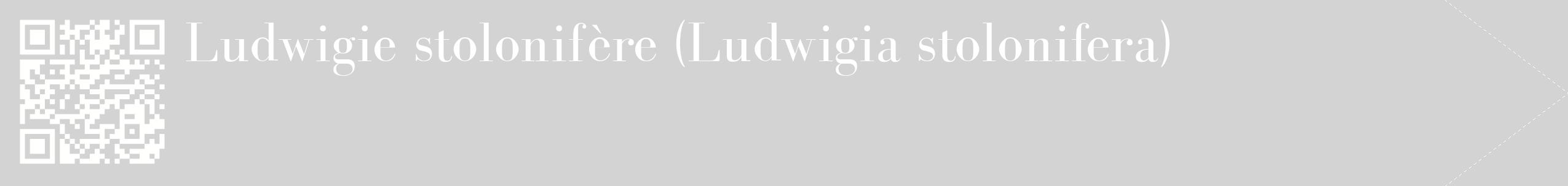 étiquette 2
