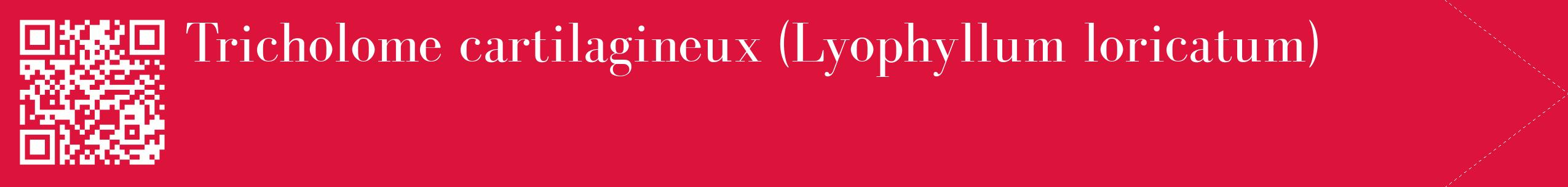 étiquette 2