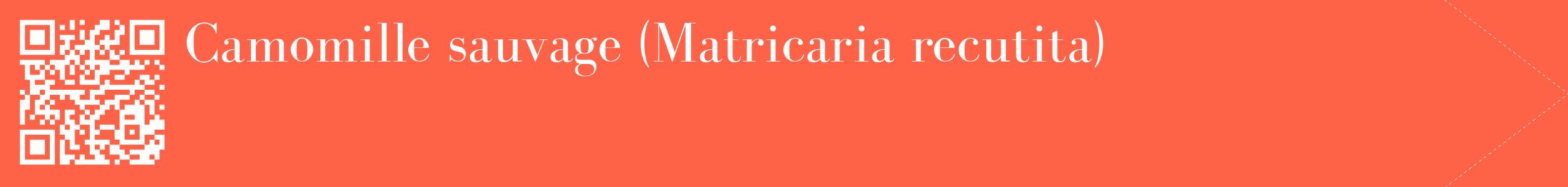 étiquette 2