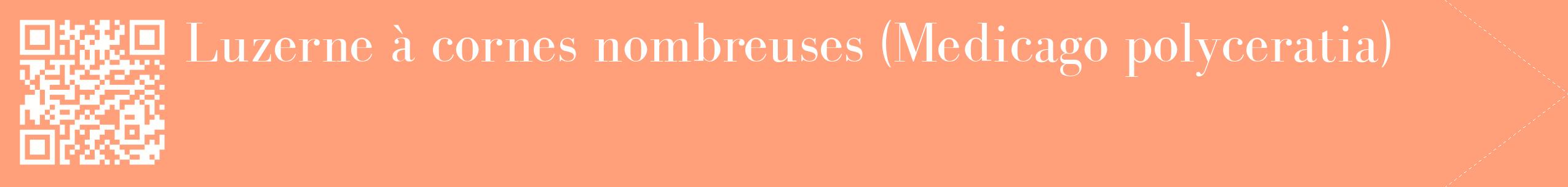 étiquette 2