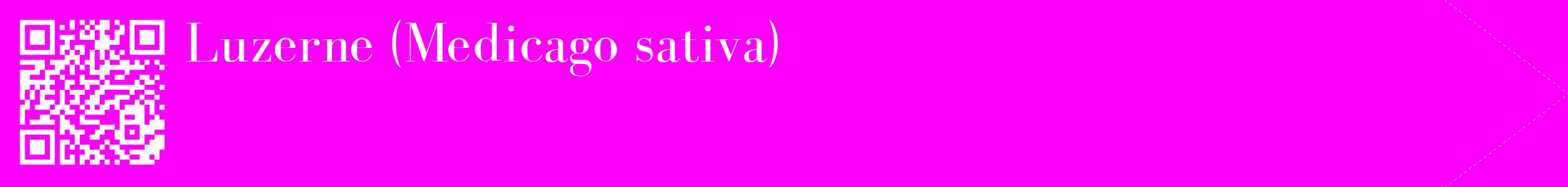 étiquette 2