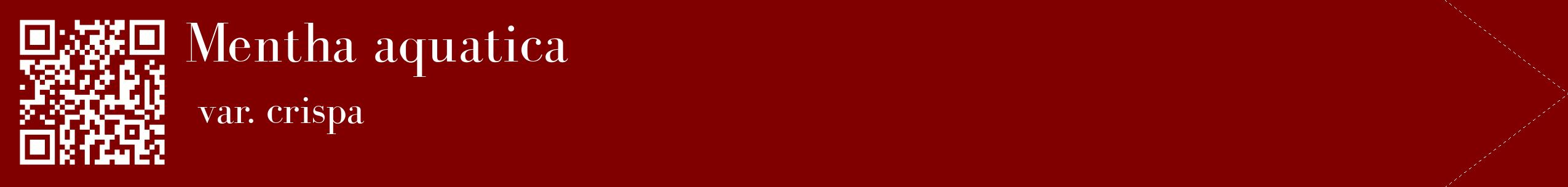 étiquette 2