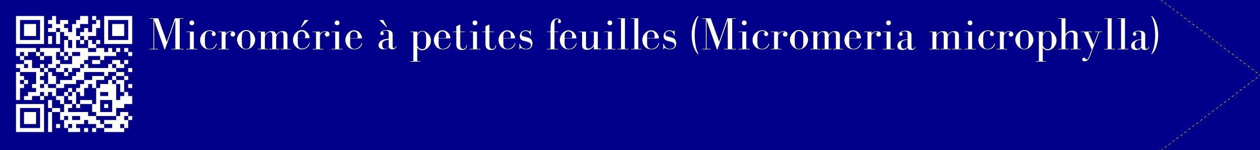 étiquette 2