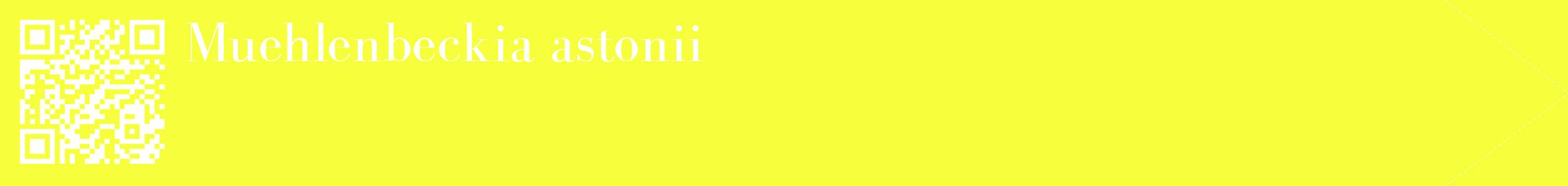 étiquette 2