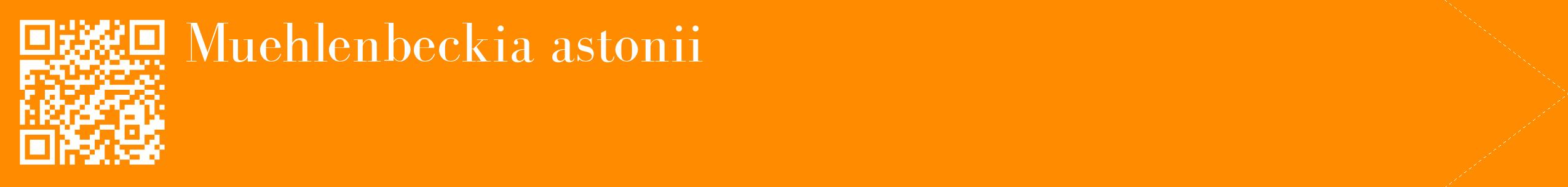étiquette 2