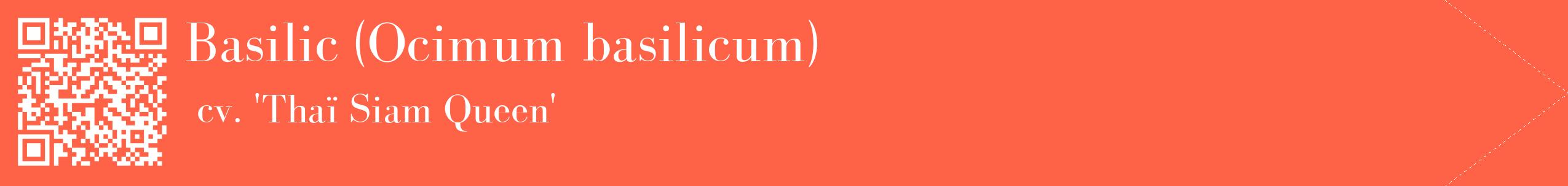 étiquette 2