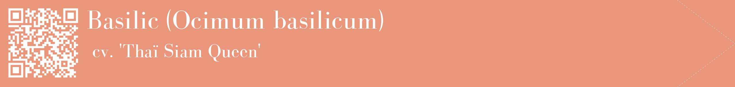 étiquette 2
