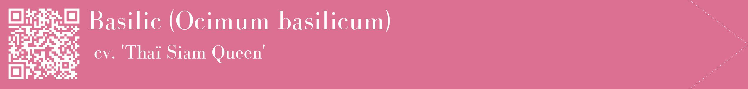 étiquette 2