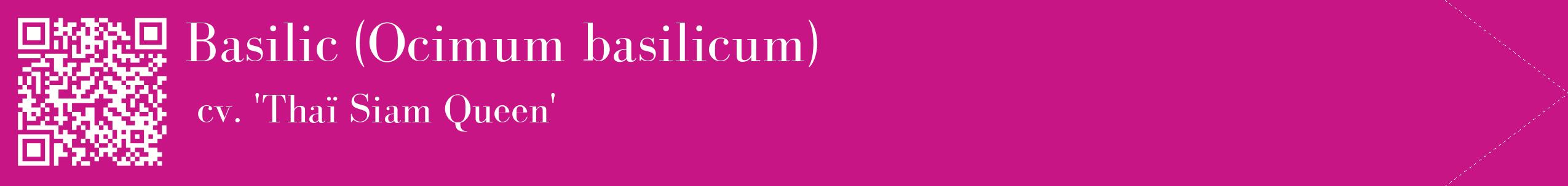 étiquette 2