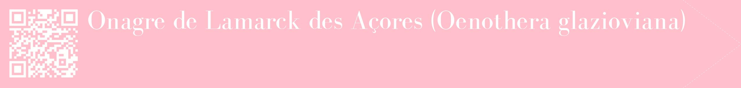 étiquette 2