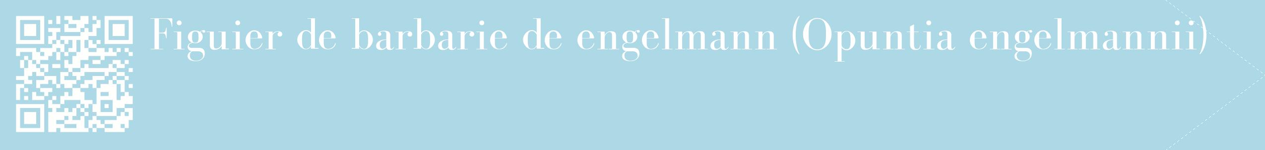étiquette 2