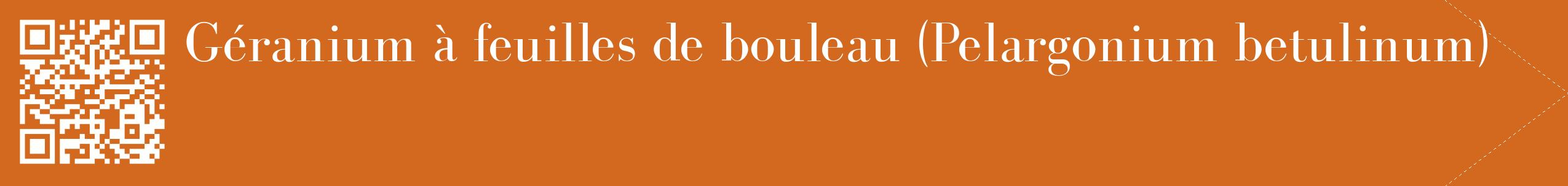 étiquette 2