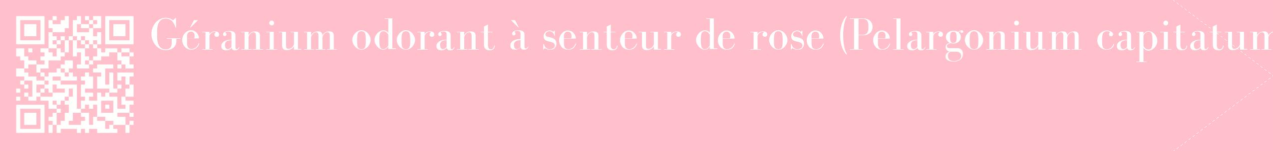 étiquette 2
