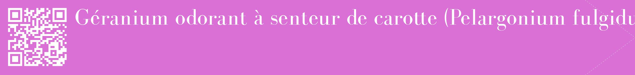 étiquette 2