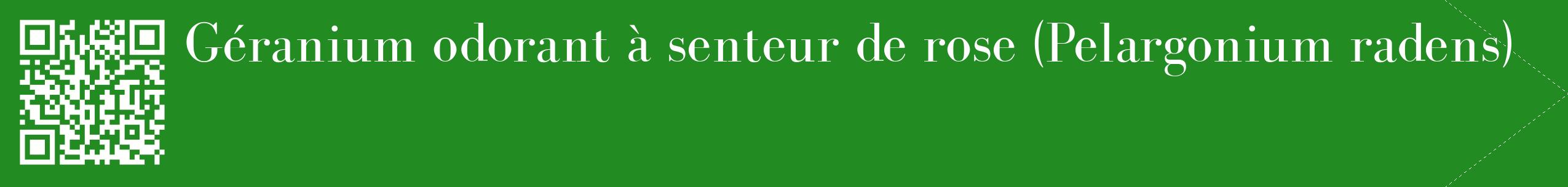 étiquette 2