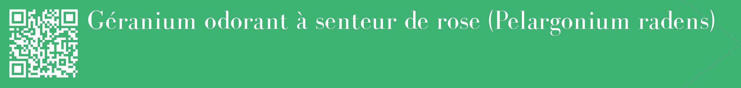 étiquette 2