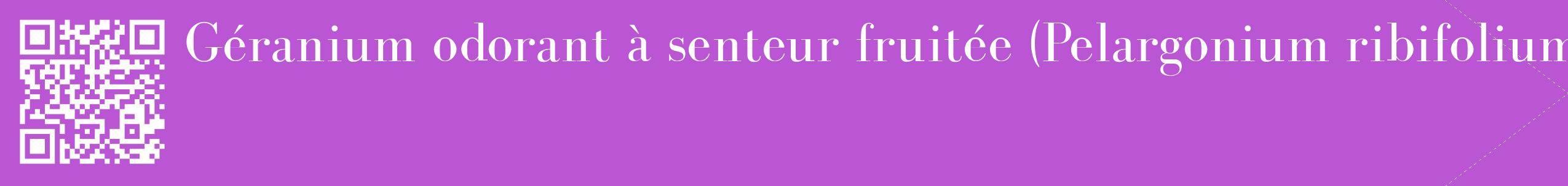 étiquette 2