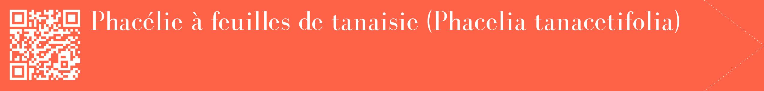 étiquette 2