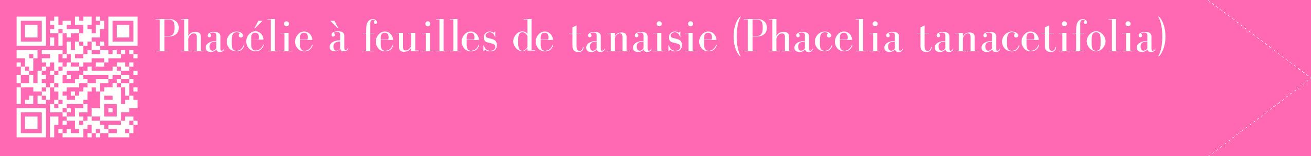 étiquette 2
