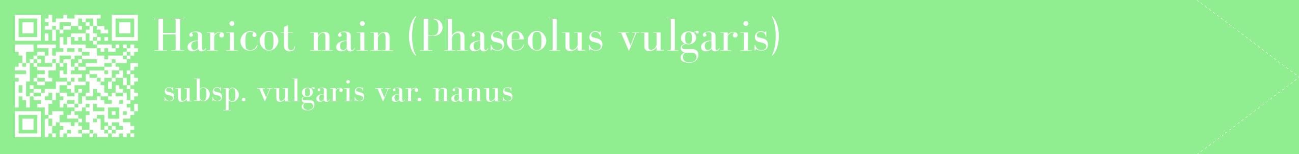 étiquette 2