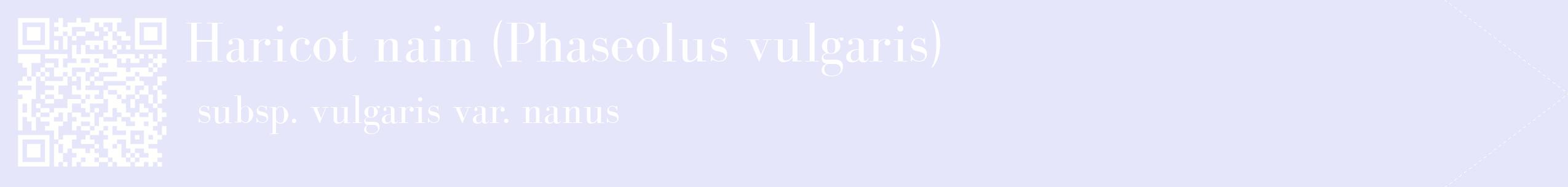 étiquette 2