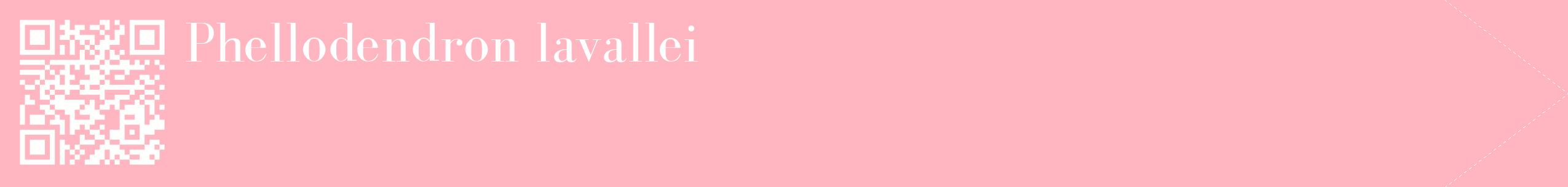 étiquette 2