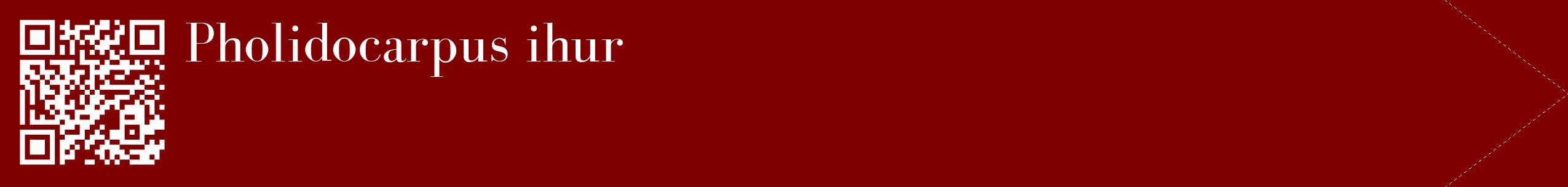 étiquette 2