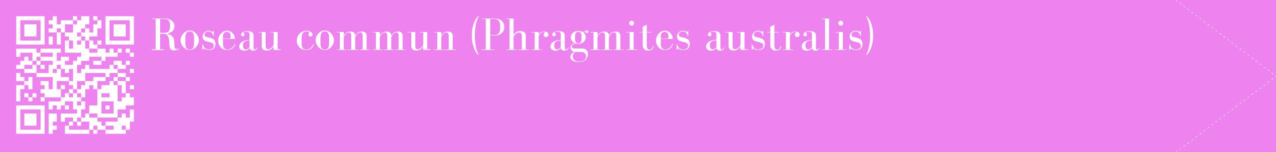 étiquette 2