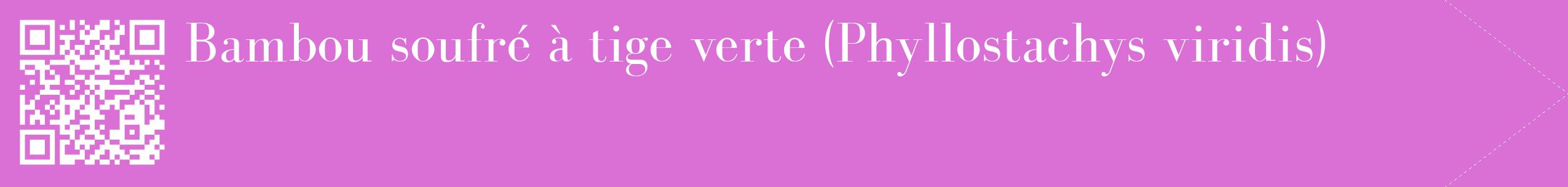 étiquette 2