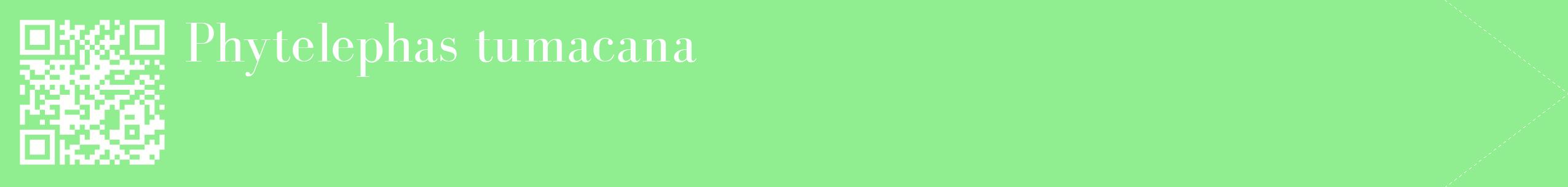 étiquette 2