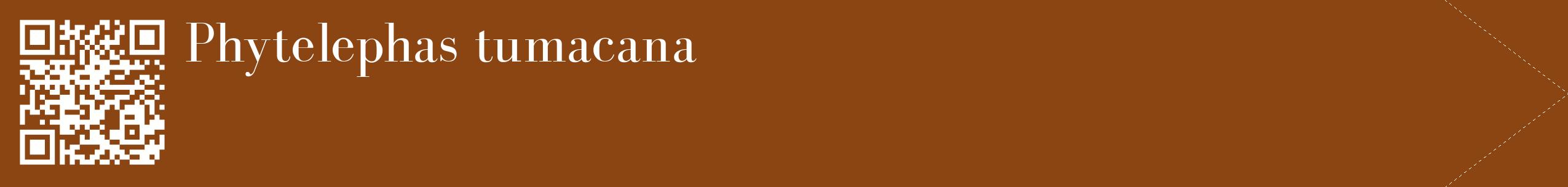 étiquette 2