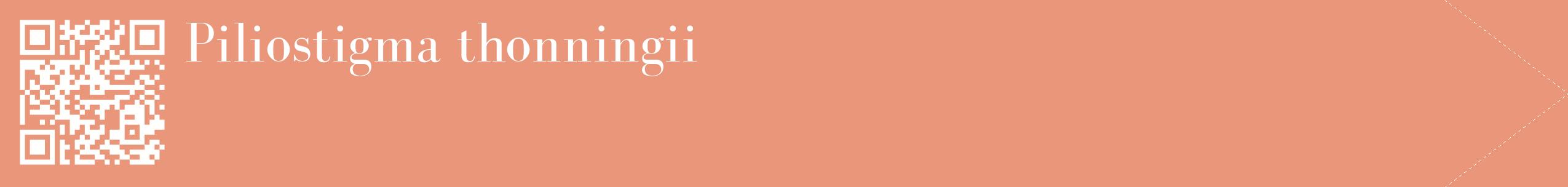 étiquette 2