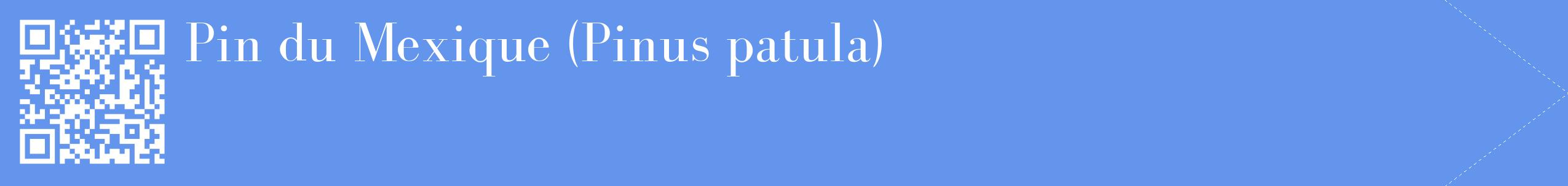 étiquette 2