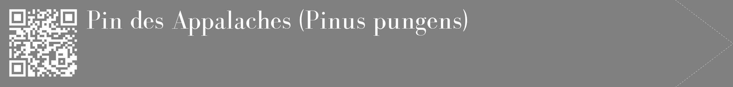 étiquette 2