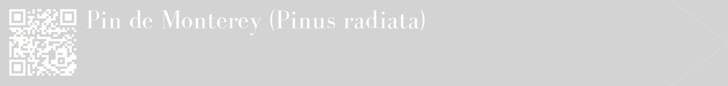 étiquette 2