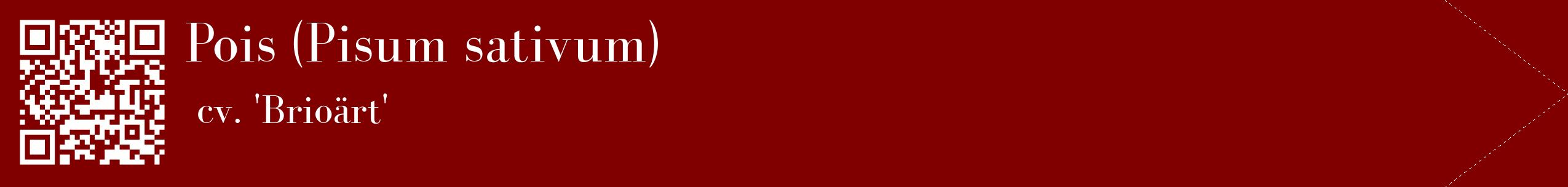 étiquette 2