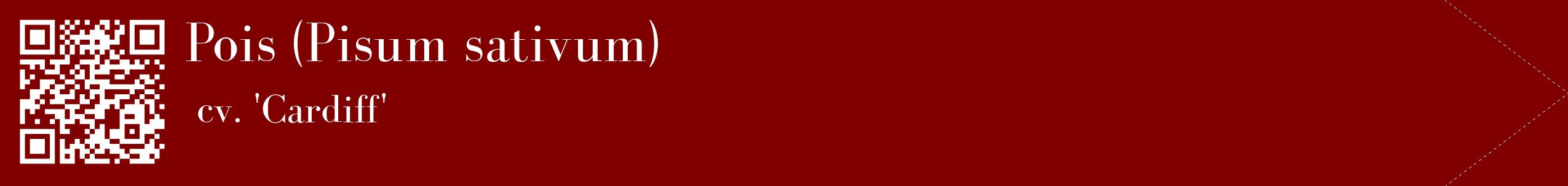 étiquette 2