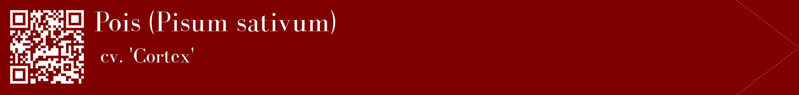 étiquette 2