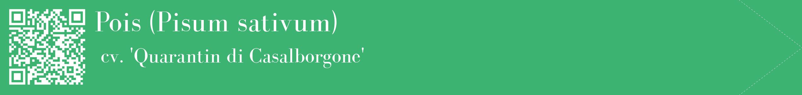 étiquette 2
