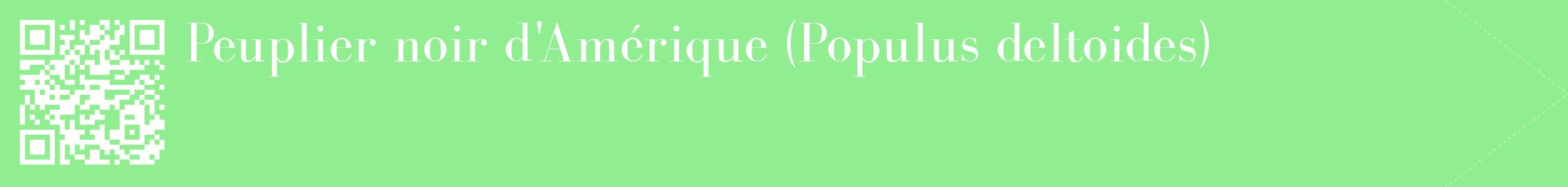 étiquette 2