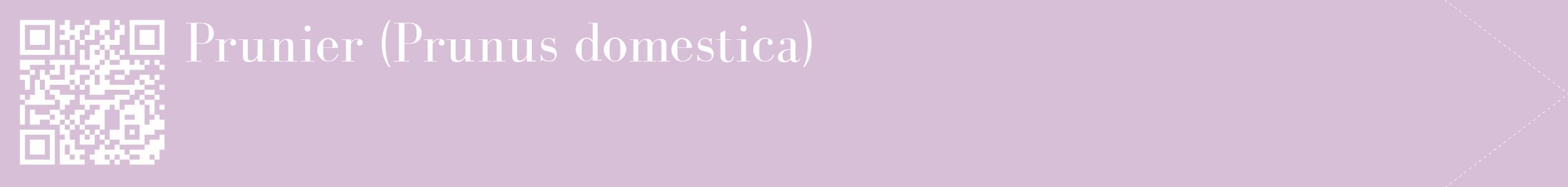 étiquette 2