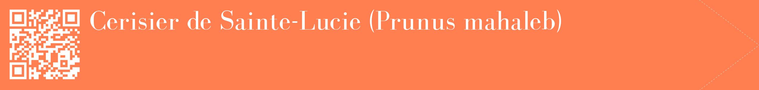 étiquette 2