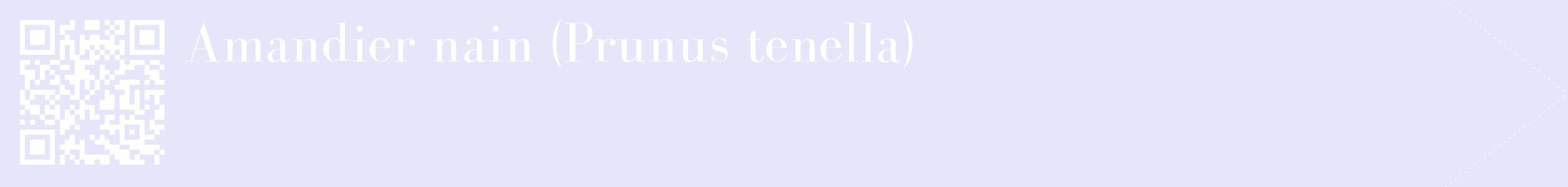 étiquette 2