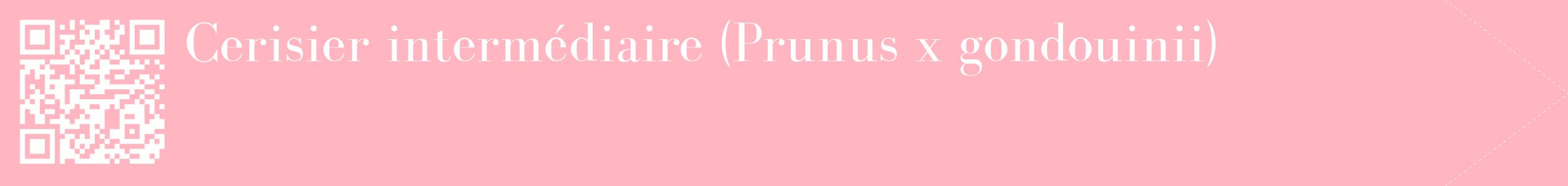 étiquette 2